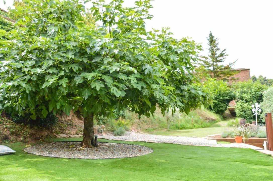 Cal Secretari Villa Rellinars Exteriör bild